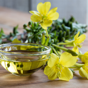 Evening primrose oil CAS 90028-66-3