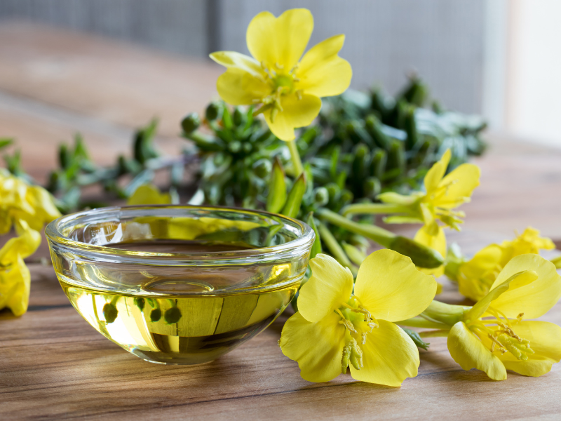 Evening primrose oil CAS 90028-66-3